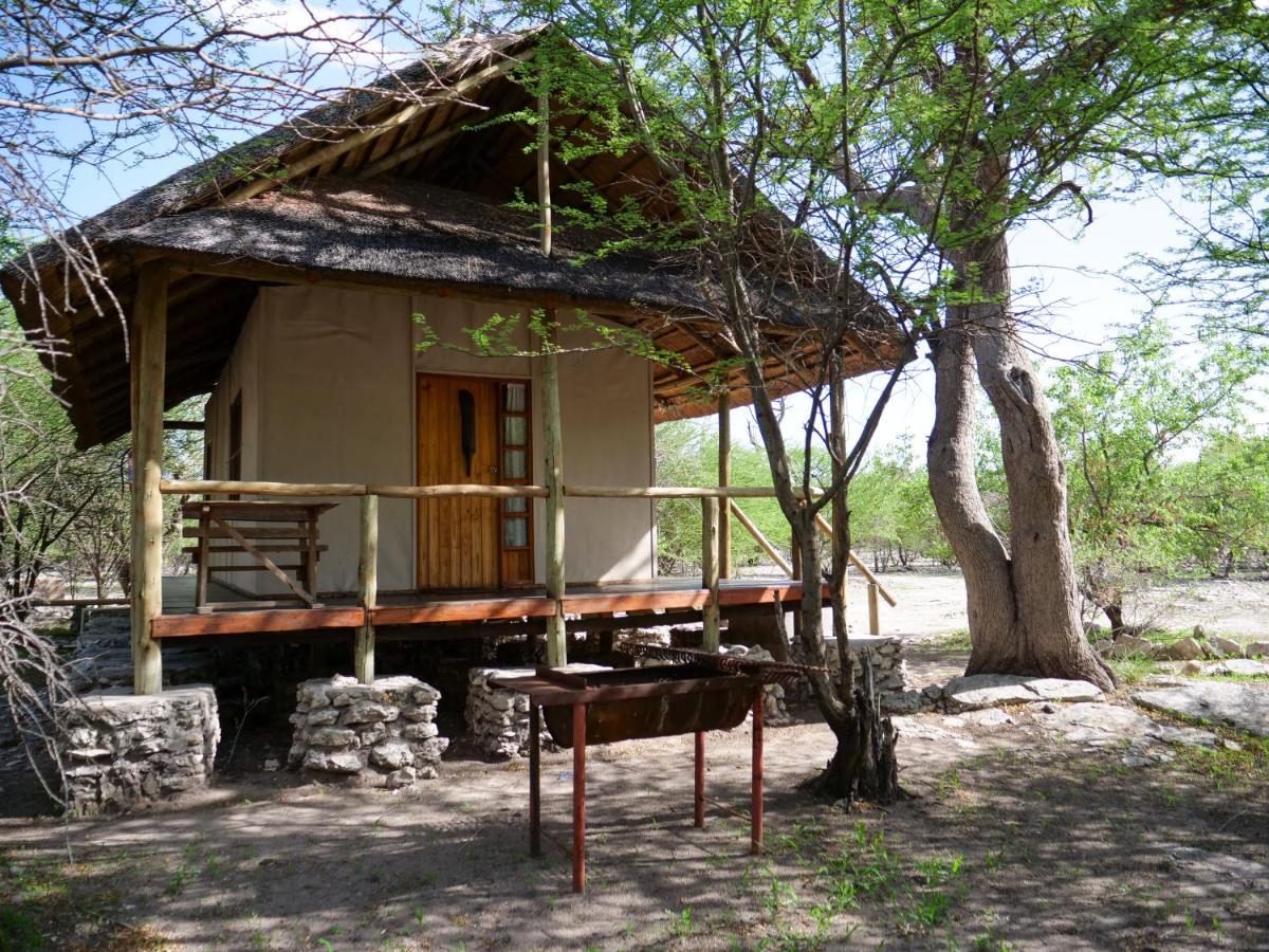 Ghanzi Thakadu Bush Camp 빌라 외부 사진